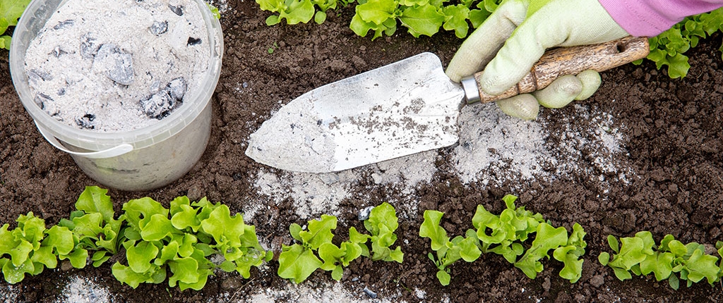 As uit de houtkachel als bemesting in de tuin