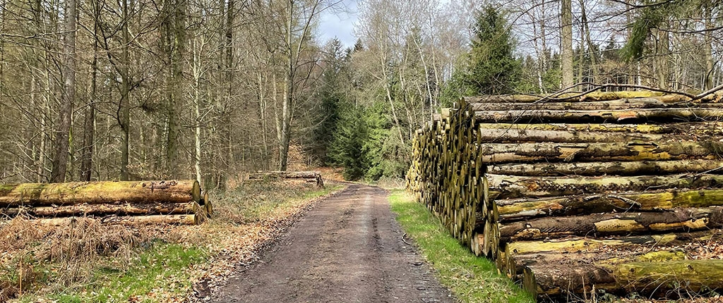 Kwaliteit en levensduur van lokaal haardhout