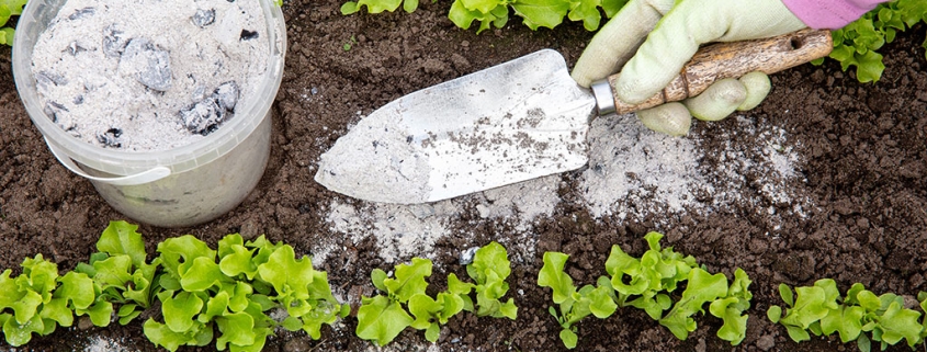 As van haardhout recyclen als natuurlijke meststof