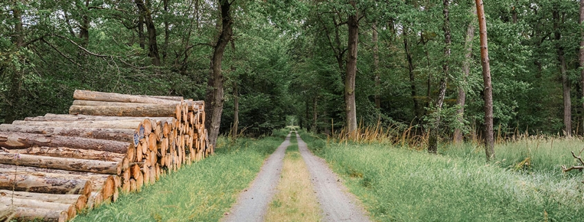 Voordelen van lokaal geproduceerd haardhout